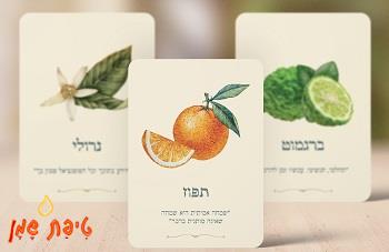 קלפי ארומתרפיה - Rosecards Aromatherapy