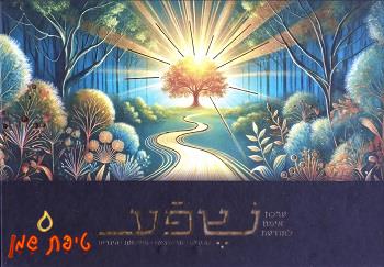 ערכת אימון לתודעת שפע